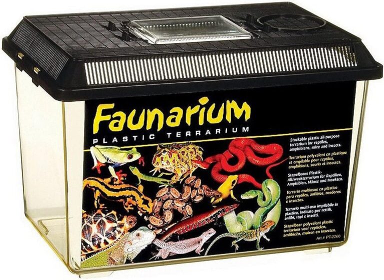 Der beste Terrarium-Futterspender – Erfahrungsbericht und Bewertungen